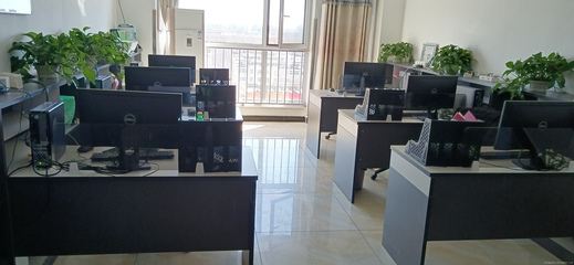 霖森信息咨詢服務 開啟專業(yè)信息咨詢新篇章